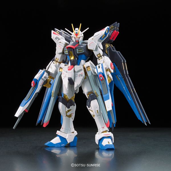 Bandai 1/144 Scale RG #14 ZGMF-X20A Strike Freedom Gundam Model