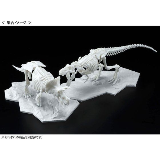 Bandai Dinosaur Model Kit LimeX Skeleton Triceratops Model Kit