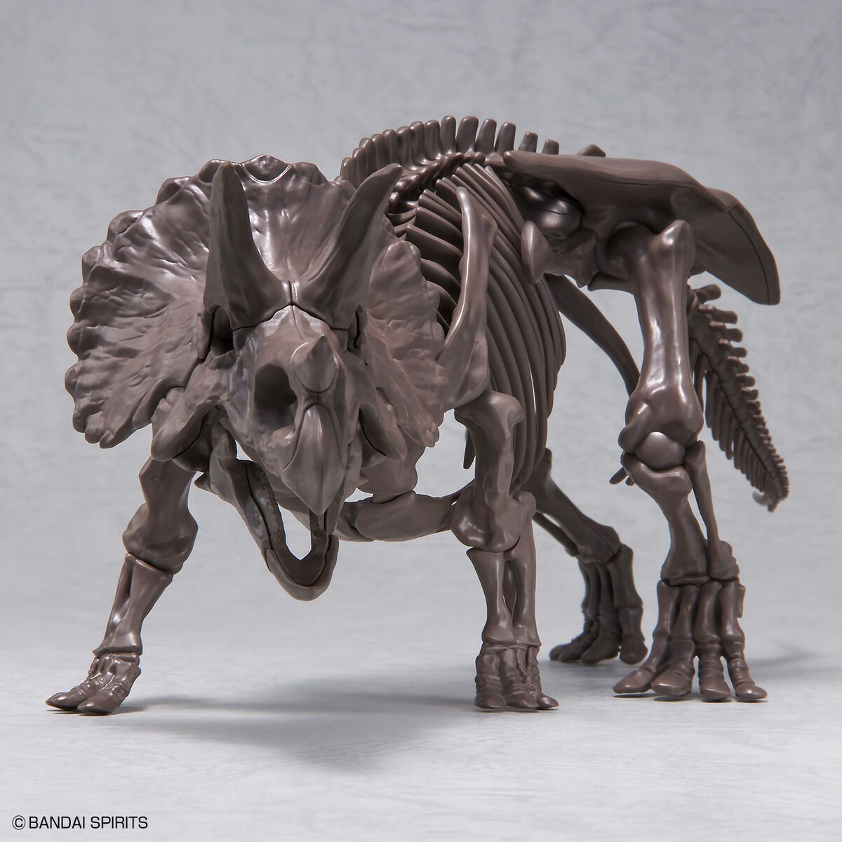 Bandai 1/32 Scale Imaginary Skeleton Triceratops Model Kit