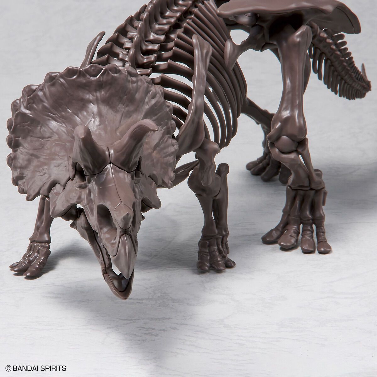 Bandai 1/32 Scale Imaginary Skeleton Triceratops Model Kit