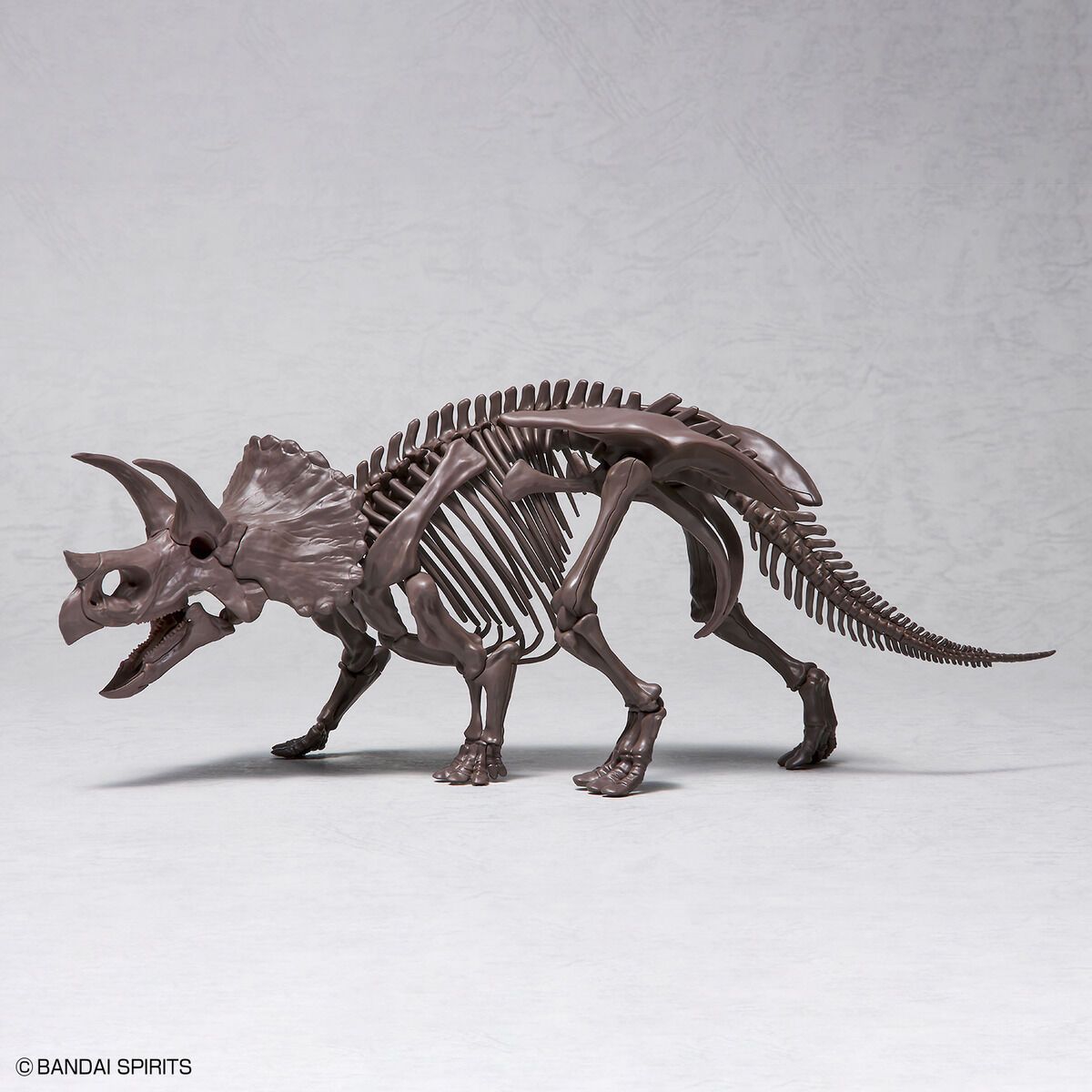 Bandai 1/32 Scale Imaginary Skeleton Triceratops Model Kit