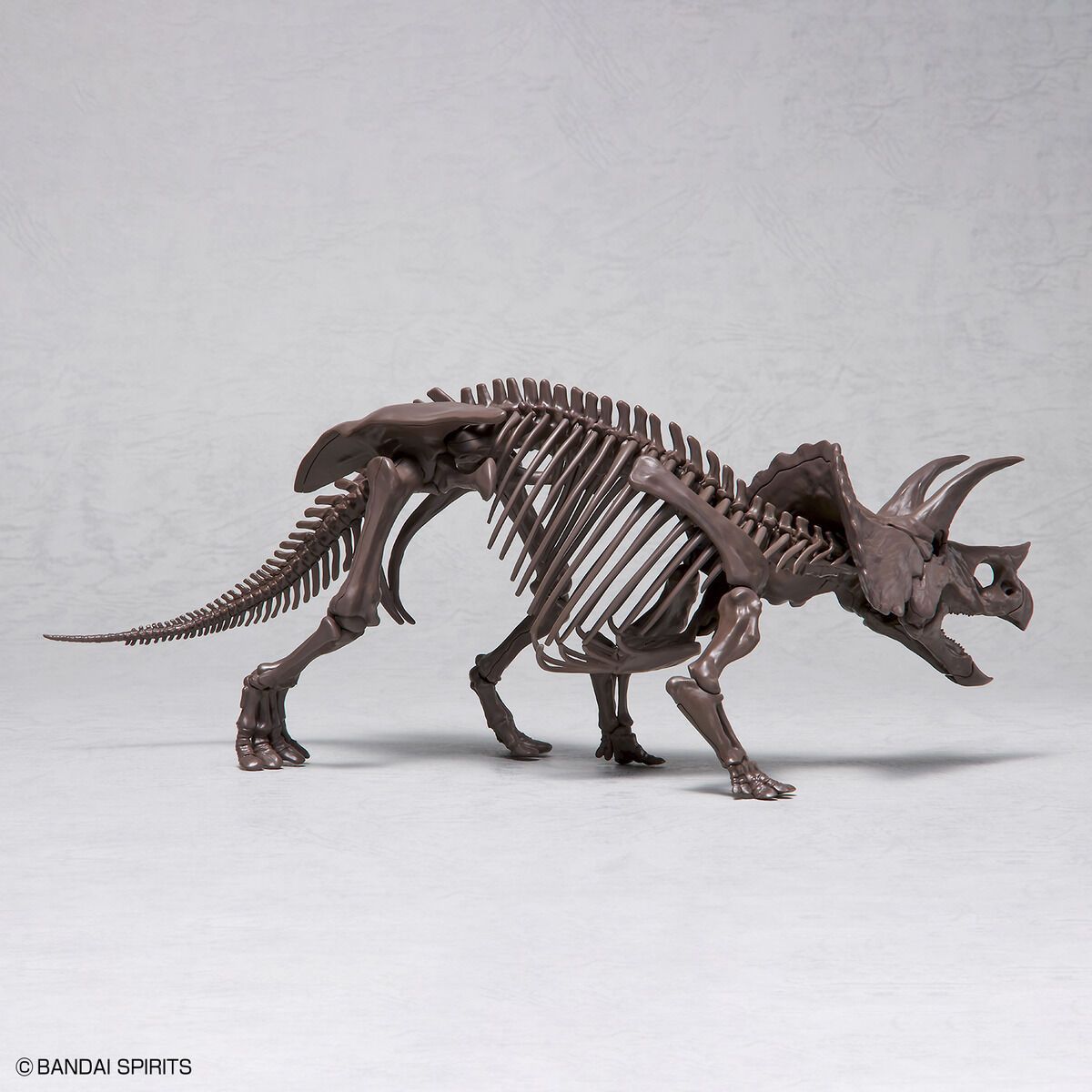 Bandai 1/32 Scale Imaginary Skeleton Triceratops Model Kit