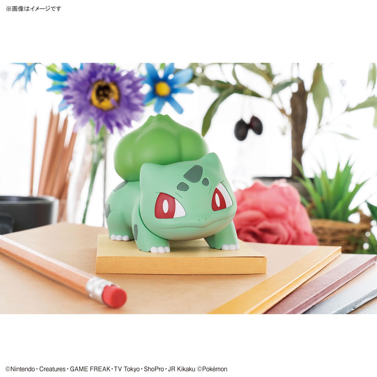 Bandai Pokemon Model Kit QUICK!! Bulbasaur