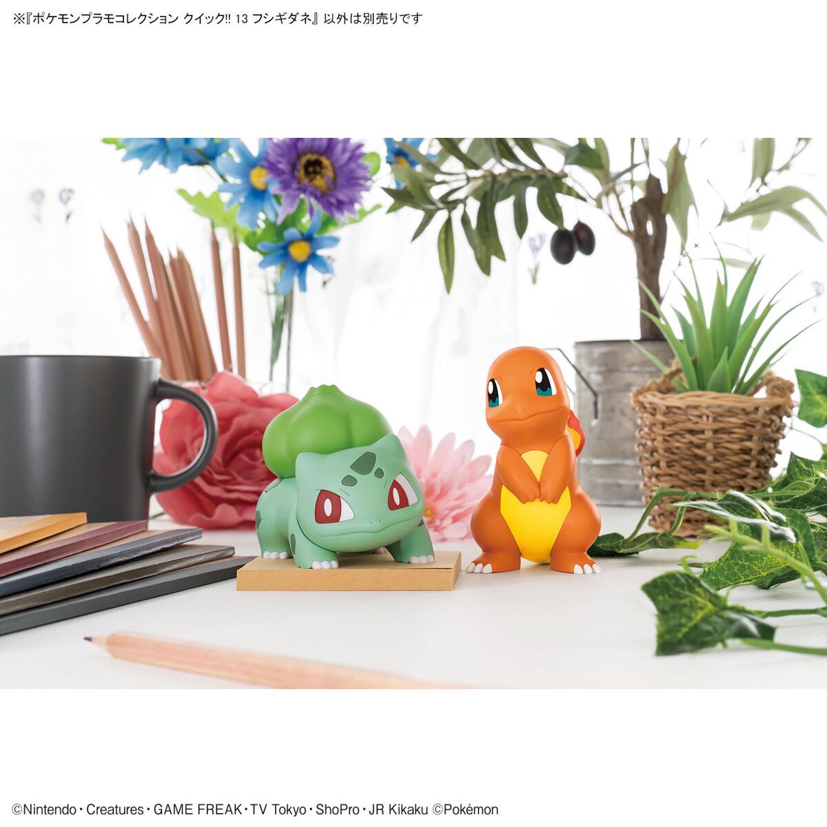 Bandai Pokemon Model Kit QUICK!! Bulbasaur